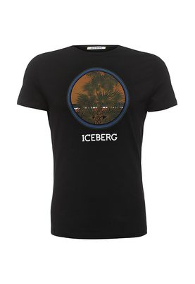 Iceberg 